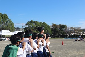 IMG_2493.JPG