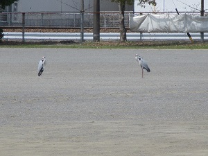 IMG_1663.JPG