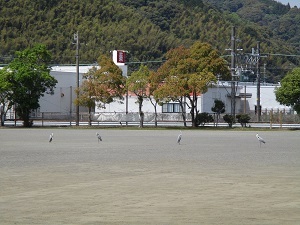 IMG_1664.JPG