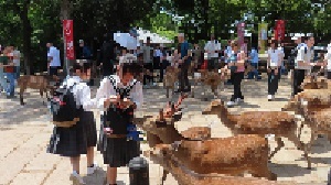Image_20250520_150315_293.jpeg