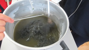 IMG_0032.JPG